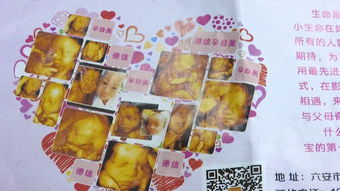 六安某影楼涉违规提供胎儿四维写真服务被查处